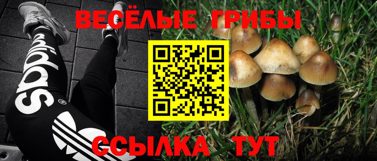 Псилоцибиновые грибы прущие грибы  Псилоцибиновые грибы Cubensis  Среднеуральск  Вход с VPN 