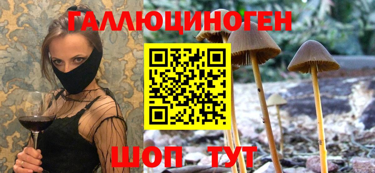 Псилоцибиновые грибы мухоморы Среднеуральск